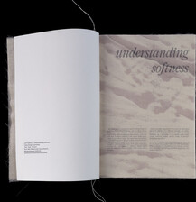 soft matters – understanding softness
