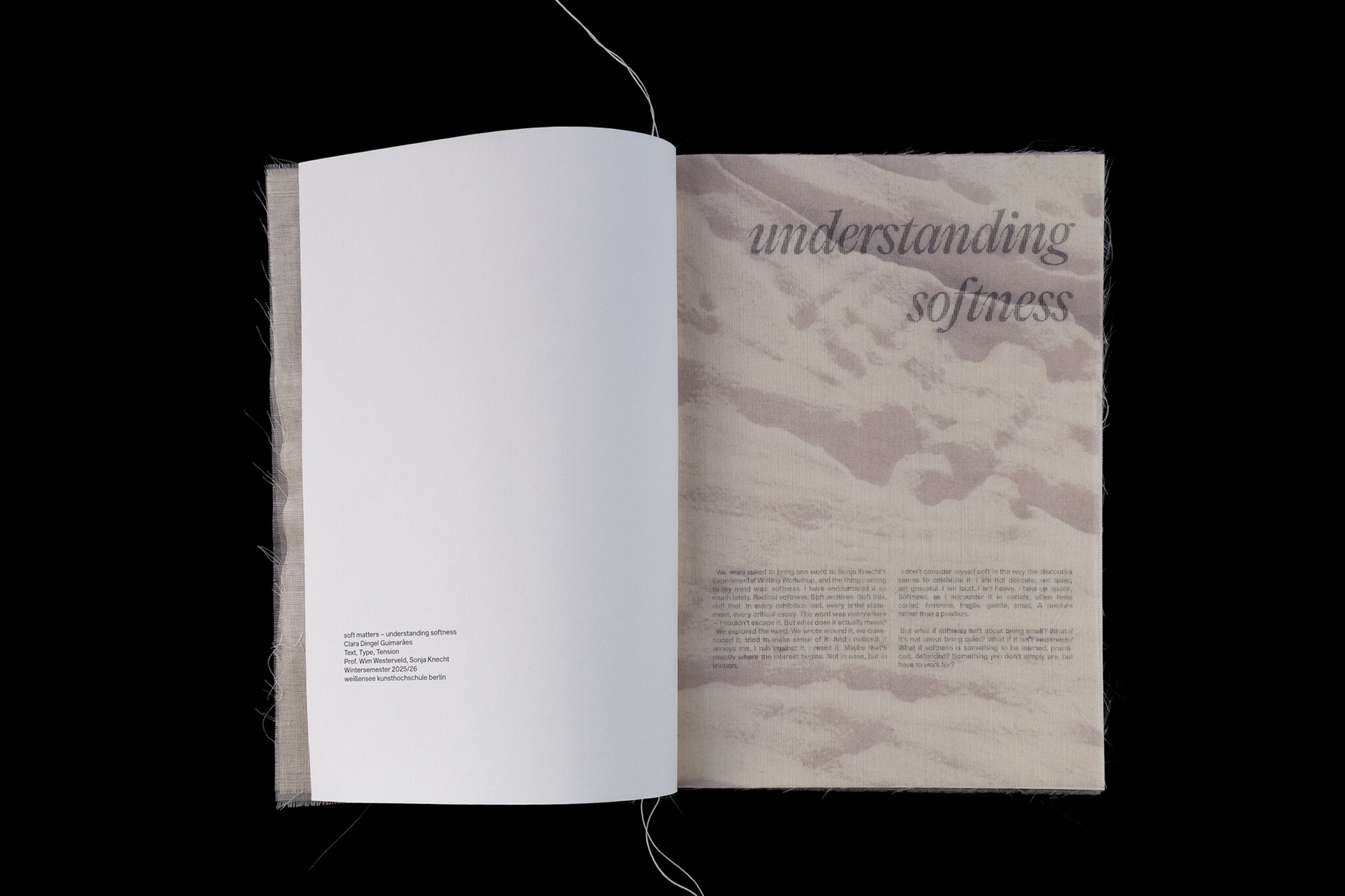 soft matters – understanding softness