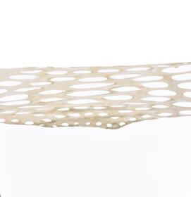 Dendritic_4