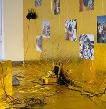 EVERYTHING IS INSIDE by Nina Cavalcanti