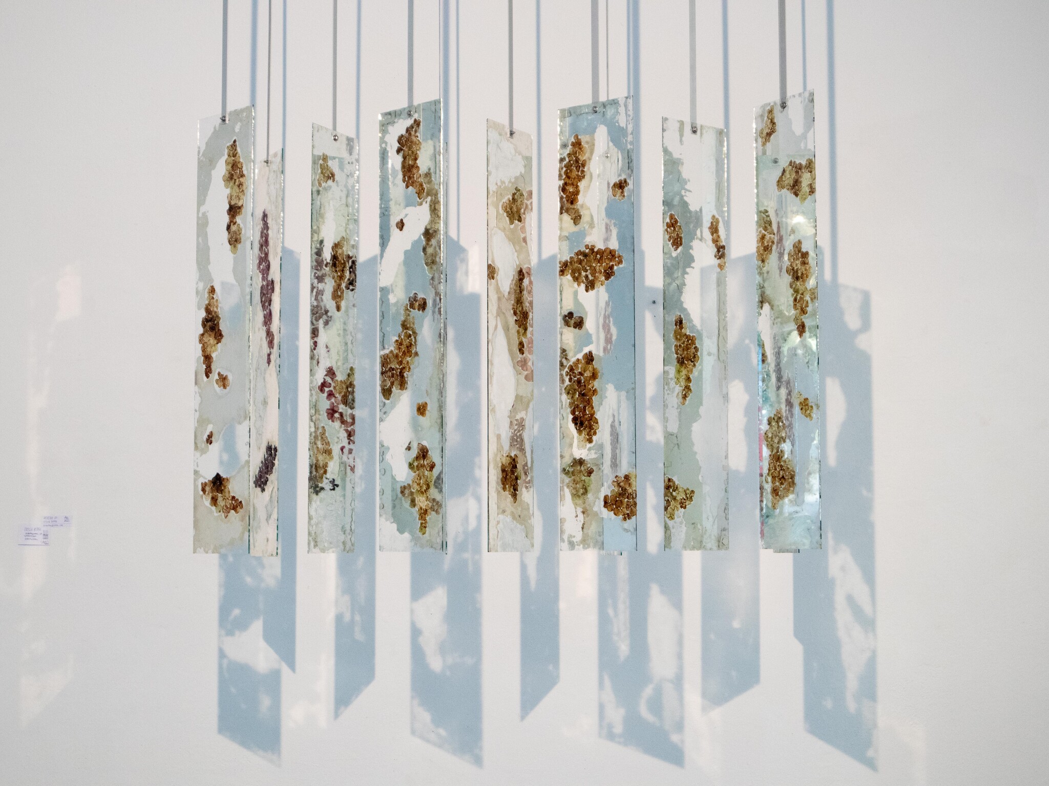 Reverie 01 (R01) by Cecilia Buffa