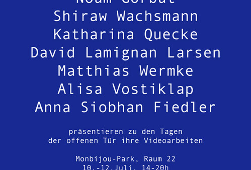 Videoprogramm