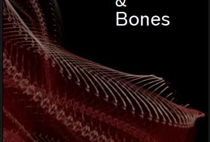 Scaling Nature (2): Fibers, Muscles, Bones