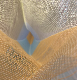 Woven Systems