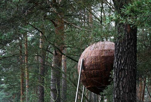 Lecture Nov. 23 (online): The Bark Project - Research for Biogenic Materials in Design