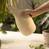 shapingWater_12