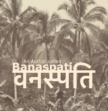 An Author called Banaspati - Cover