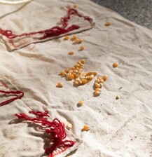 ERROR 404: SOIL NOT FOUND 2025 by Yupanqui Ramos