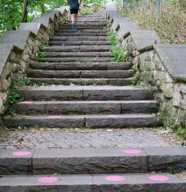 pink_1