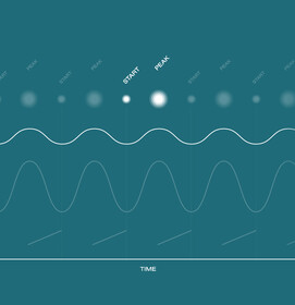 Visualization of the vibration