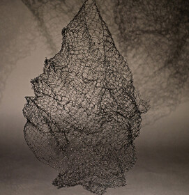 Herbstsonne_Saskia_Buch_bio.evolution_7