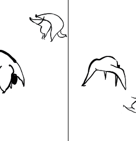 Bild 16.png