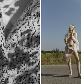WHITE NOISE