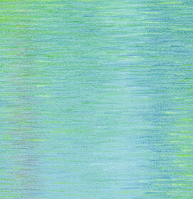 Waldweiher Detail1.jpg