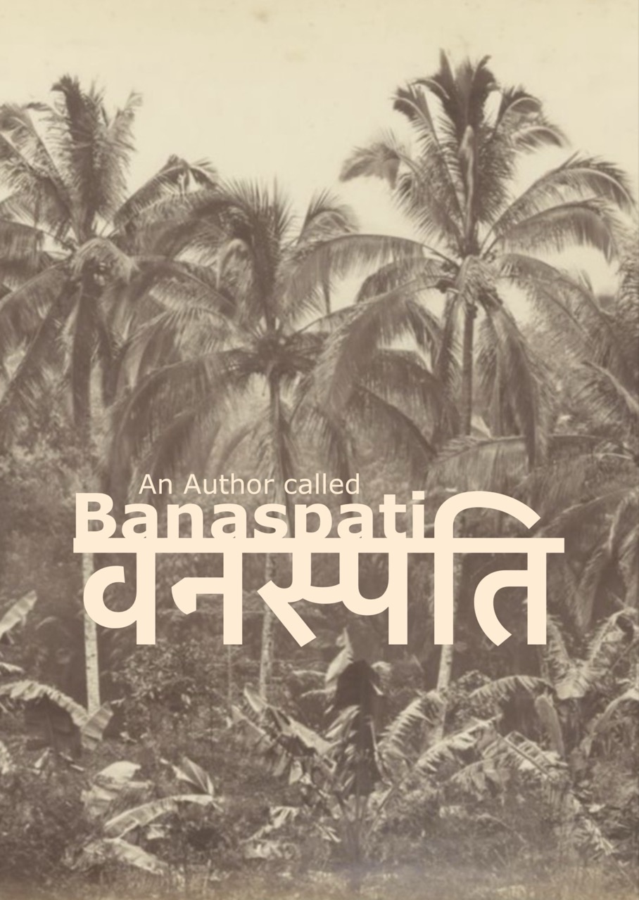 An Author called Banaspati - Cover