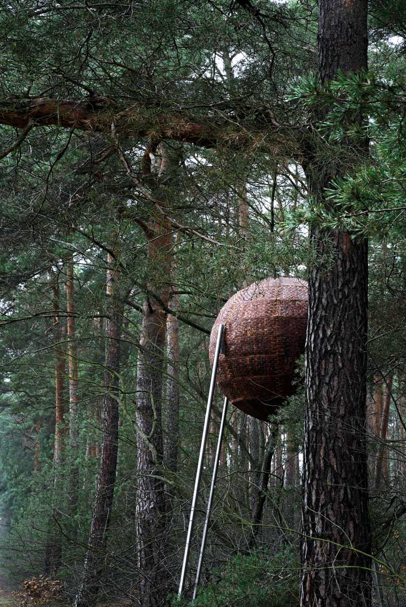 Bark dome_outside, MPI-CI, Alexander Magerl