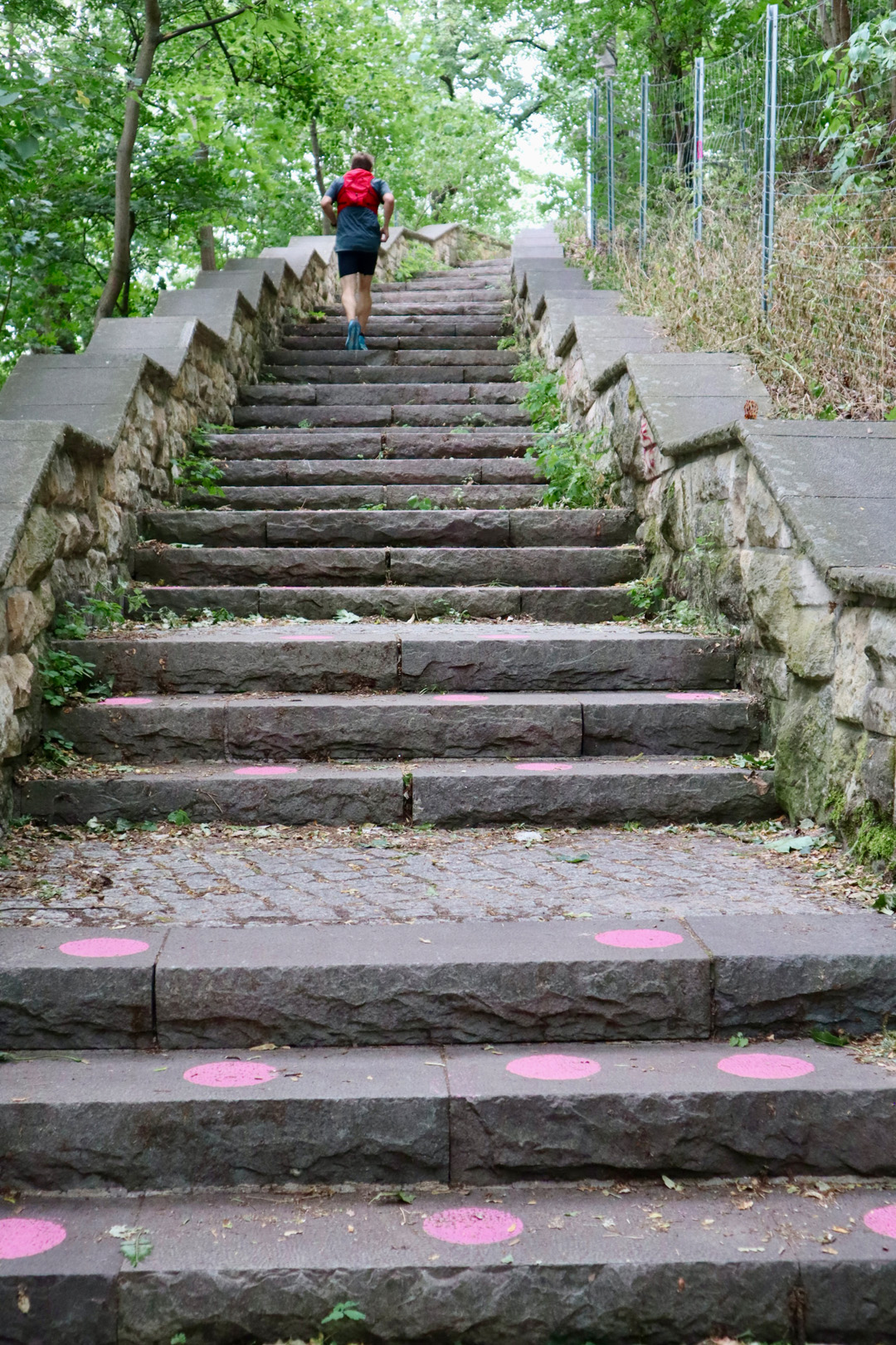 pink_1