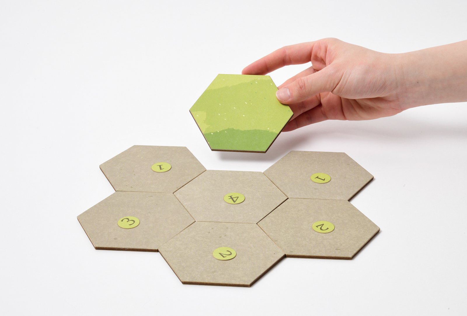Cocoa Forest – Family-friendly board game design | Xuting Luo
