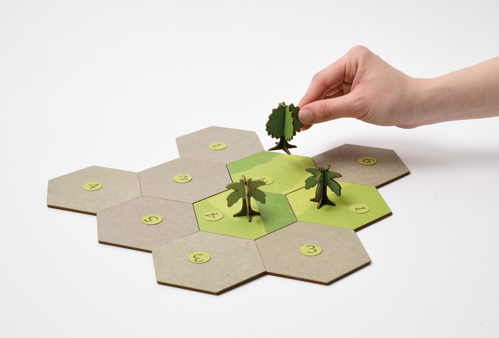 Cocoa Forest – Family-friendly board game design | Xuting Luo