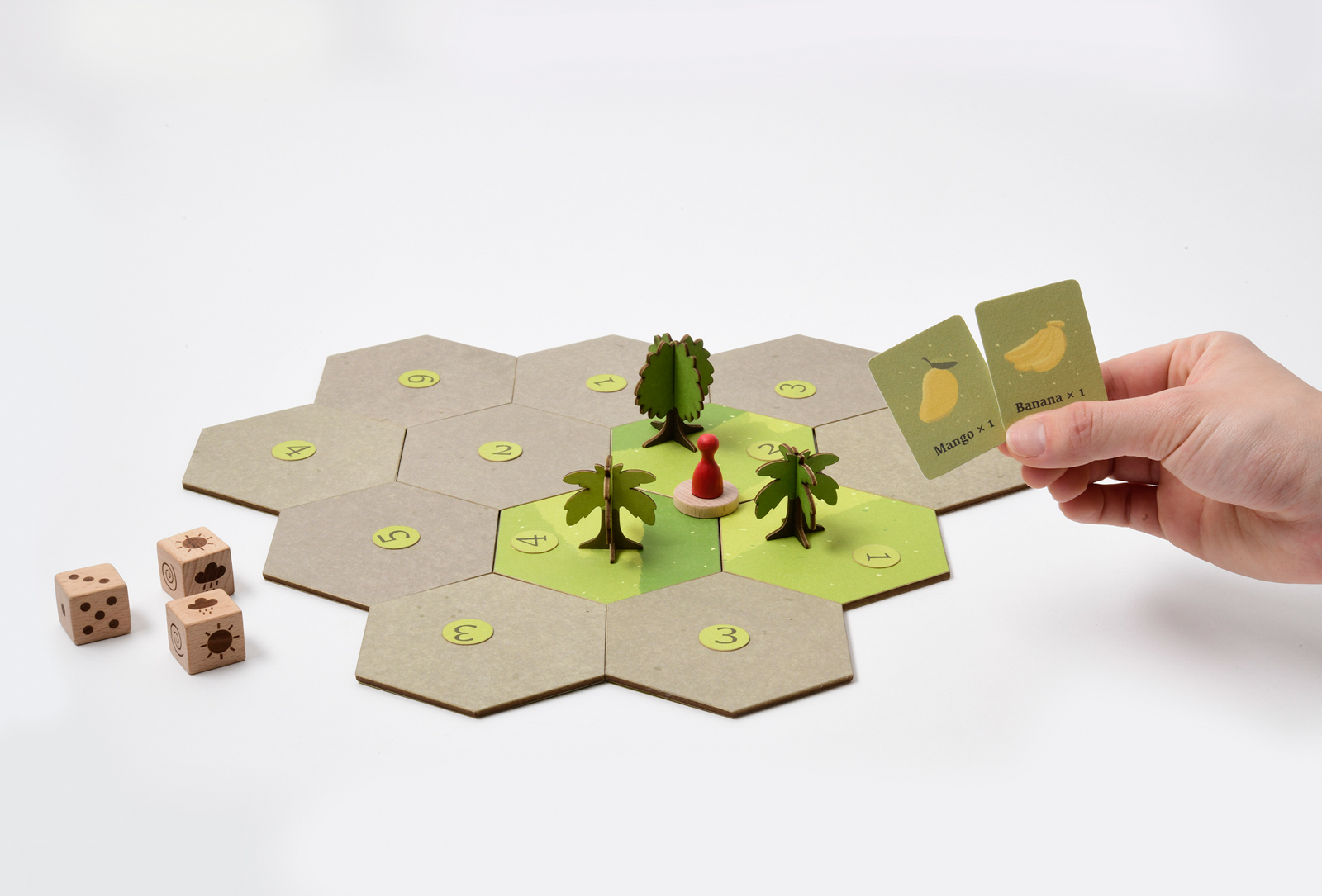 Cocoa Forest – Family-friendly board game design | Xuting Luo
