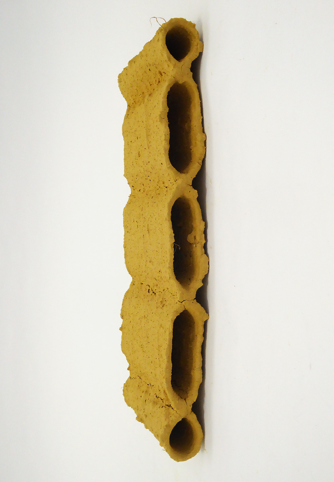 Wet Weaving Prozess: Getrocknete Probe