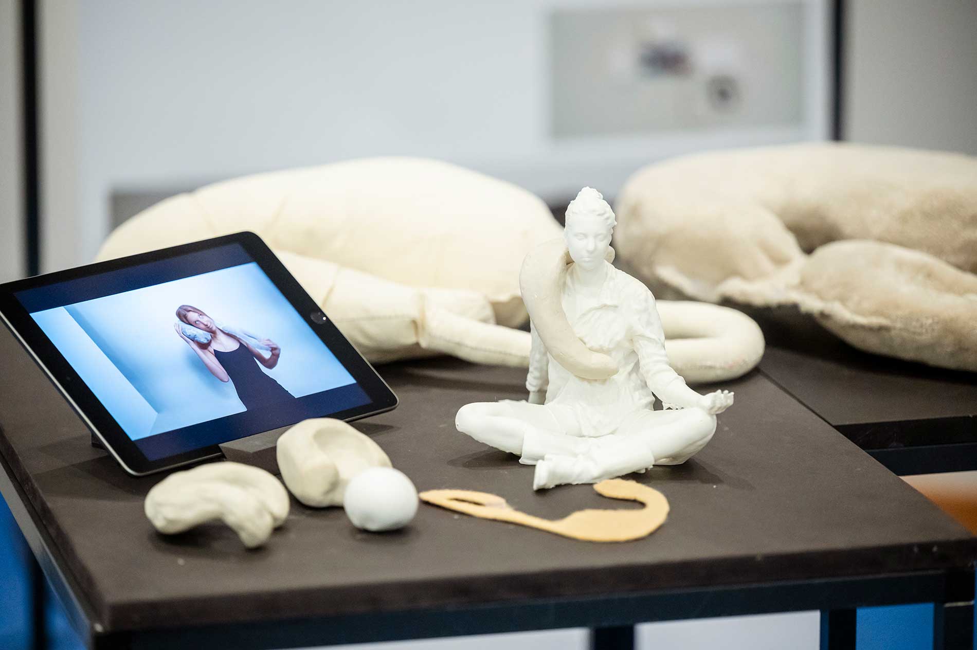 Abschlusspraesentation im Goethe National Museum  | 03