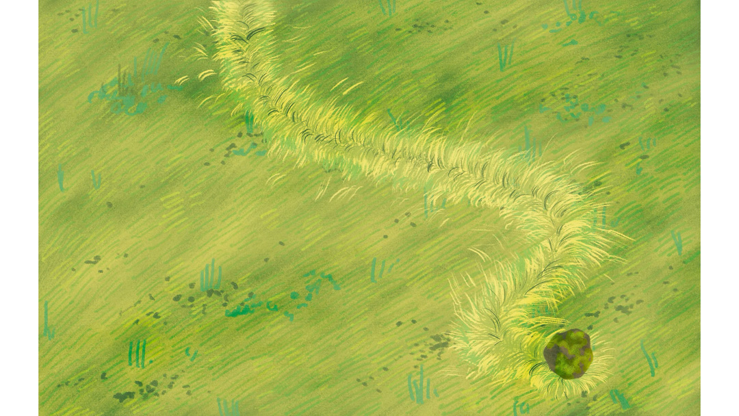 roll_3